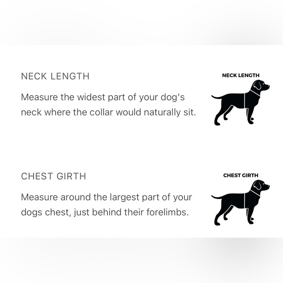 NWOT- Spark Paws Comfort Control No-Pull Dog Harness - Green - Picture 6 of 6